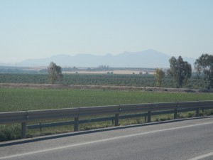 DSCN1025