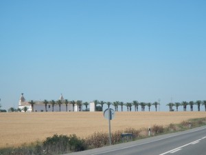 DSCN1062