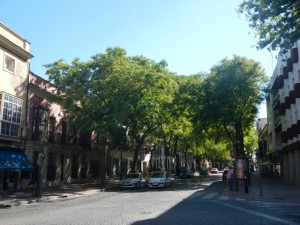 DSCN1079