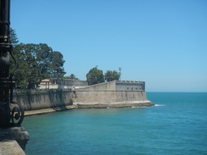 DSCN1173