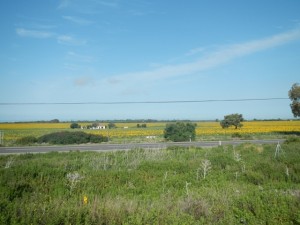 DSCN1307