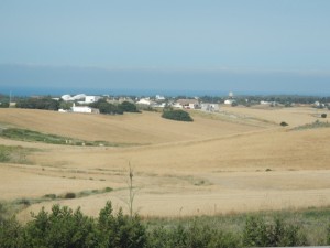 DSCN1311