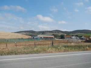 DSCN1325