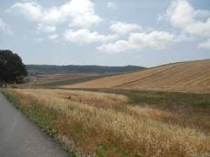 DSCN1328