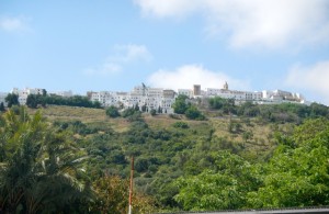 DSCN1330