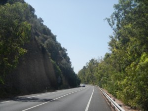 DSCN1334