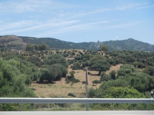 DSCN1368