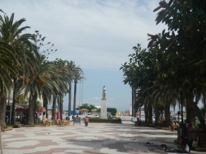 DSCN1396