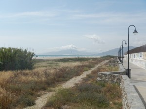 DSCN1398