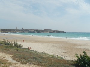 DSCN1414