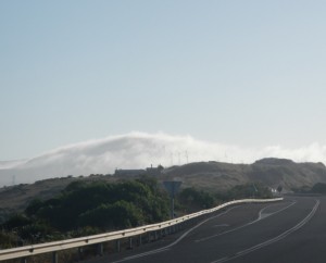DSCN1534