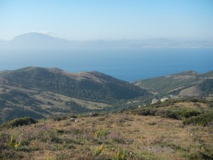 DSCN1547
