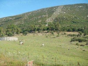 DSCN1551