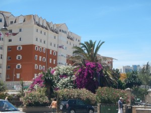 DSCN1567