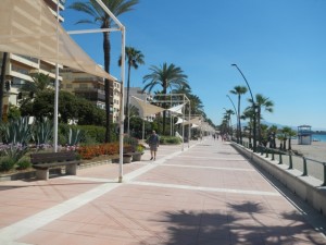 DSCN1678