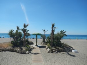 DSCN1679