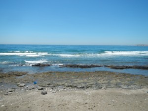 DSCN1708