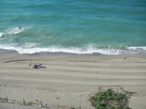 DSCN1775