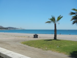 DSCN1805