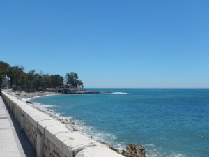 DSCN1813