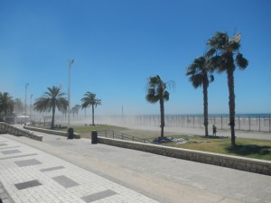 DSCN1815