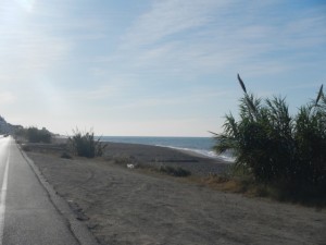 DSCN1858