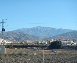 DSCN1872