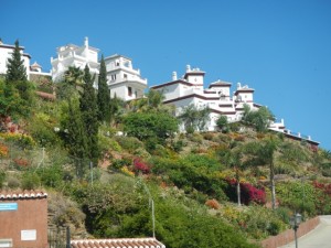 DSCN1893