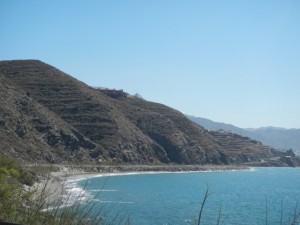 DSCN1894