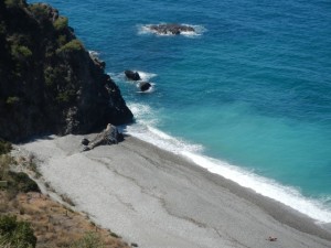 DSCN1935