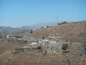 DSCN1967