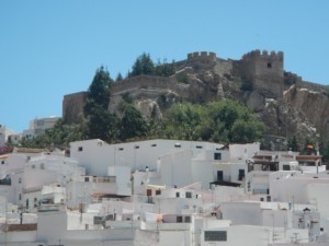 DSCN1975