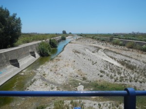 DSCN1977