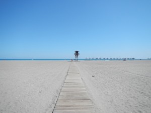 DSCN1980
