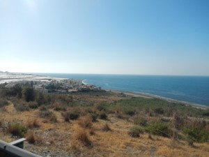 DSCN1995