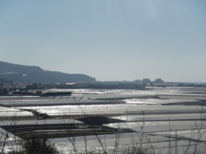 DSCN1999