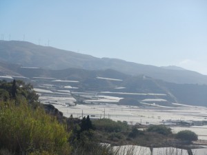 DSCN2000