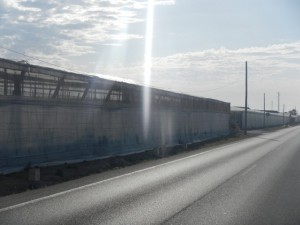 DSCN2077