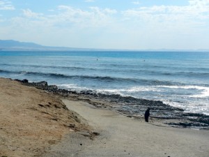 DSCN2087