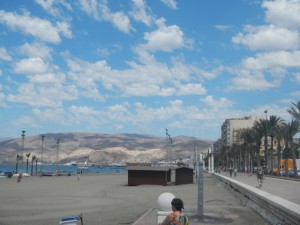 DSCN2116