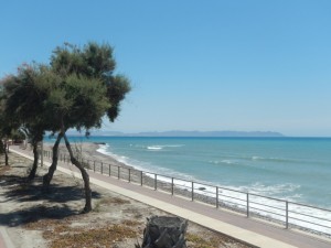 DSCN2119
