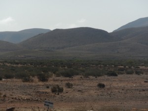 DSCN2152