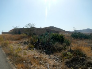 DSCN2161