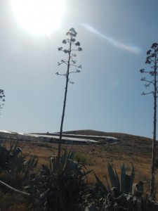 DSCN2162
