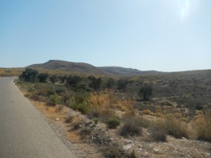 DSCN2163