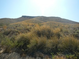 DSCN2168