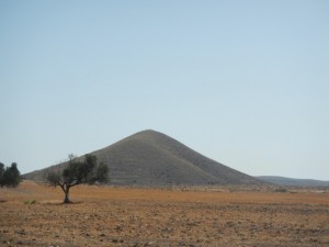 DSCN2179