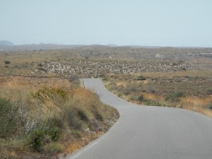 DSCN2184
