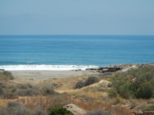 DSCN2213