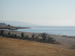 DSCN2269